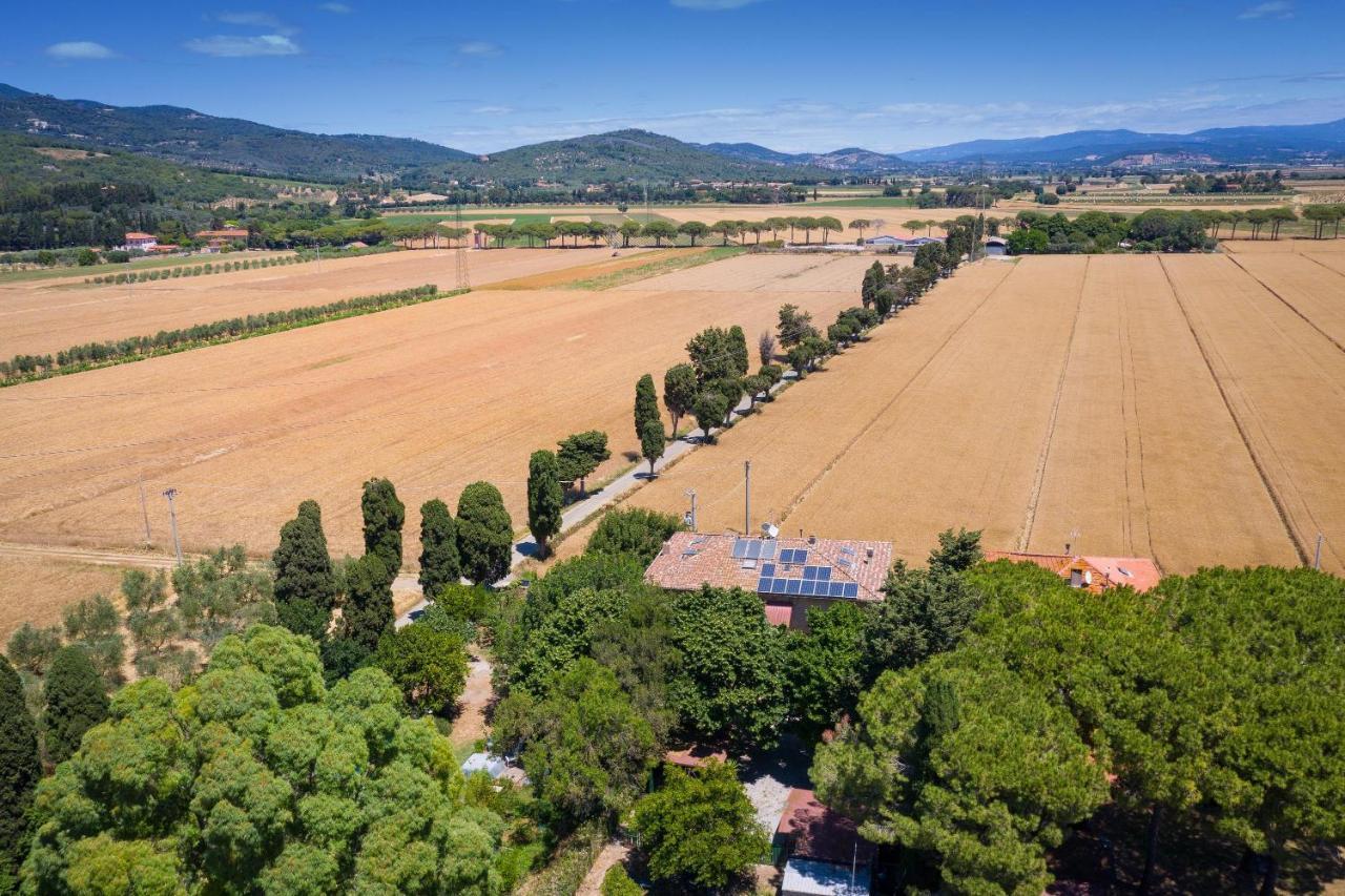 Casa Max - Venturina Terme Lägenhet Campiglia Marittima Exteriör bild